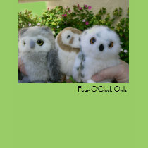 Four O'Clock Owls t-shirts