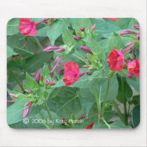 Four O'Clocks mousepads by codfishlady Four O'Clocks mousepads