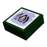 Four Penguins Gift Box 7.125
