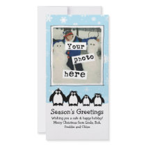 Four Penguins Holiday photo cards by jennsdoodleworld Four Penguins Holiday photo cards