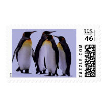 Four Penguins Postage Stamps