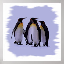 Four Penguins Poster 24X24"