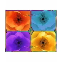 Four Poppies Apparel Shirt