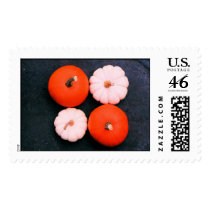 Four Pumpkins stamps
