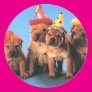 Four Puppies Birthday Stickers