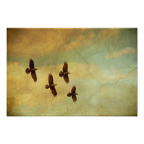 Four Ravens Flying Art Photo
