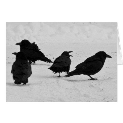 four ravens in snow greeting card