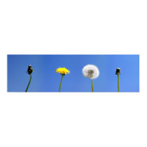 Four Seasons of Life posters by geek_7 Four Seasons of Life posters