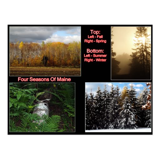 Four Seasons Of Maine Postcard Zazzle