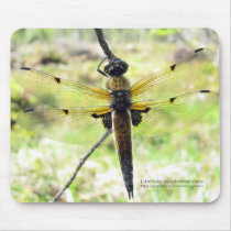 Four-spotted Chaser mousepads