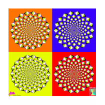 Four Squares Babydoll t-shirts