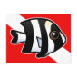 Four Stripe Damselfish Dive Flag Postcard