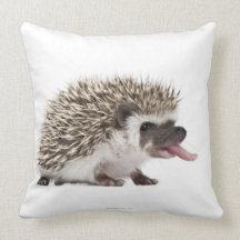 Four-toed Hedgehog - Atelerix albiventris Throw Pillow