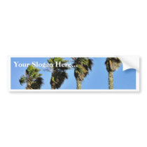 Four Trees In Point Loma bumper stickers by lifesphere Four Trees In Point Loma bumper stickers