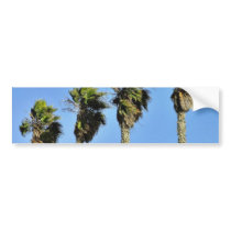 Four Trees In Point Loma bumper stickers by lifesphere Four Trees In Point Loma bumper stickers
