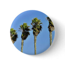 Four Trees In Point Loma Pinback Button