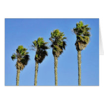 Four Trees In Point Loma Greeting Card