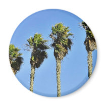 Four Trees In Point Loma Refrigerator Magnet