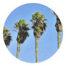 Four Trees In Point Loma Round Stickers