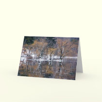 Four Trees Reflected cards