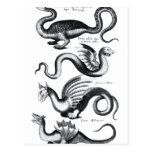 Four types of dragon post cards