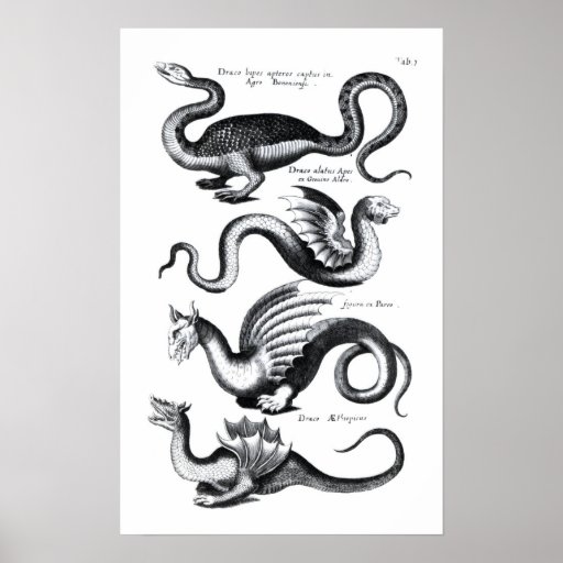 Four types of dragon print