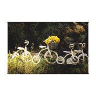 Four White Trikes Canvas Prints