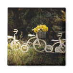 Four White Trikes Fridge Magnets