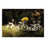Four White Trikes Art Photo