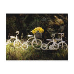 Four White Trikes Post Cards