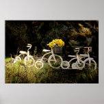 Four White Trikes Posters