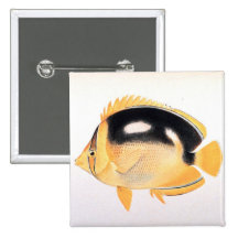 Fourspot Butterflyfish Pinback Buttons