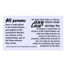 Fourteenth Amendment trivia cards Business Cards