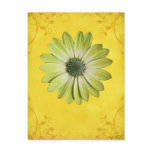 Fourth - Heart Chakra Gift Post Cards