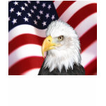 Fourth of July Eagle Over Flag Tshirts
