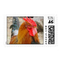 Fowl Postage postage