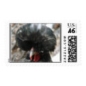Fowl Postage - Customized postage
