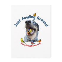 Fowling Around Bird Dog Postcards