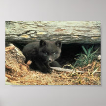 Fox and Den Print