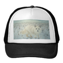 Fox ártico gorros bordados