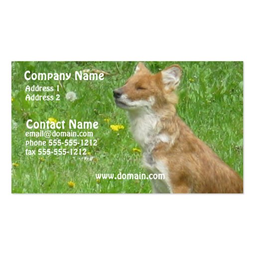 Fox Business Card (front side)
