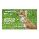 Fox Business Card