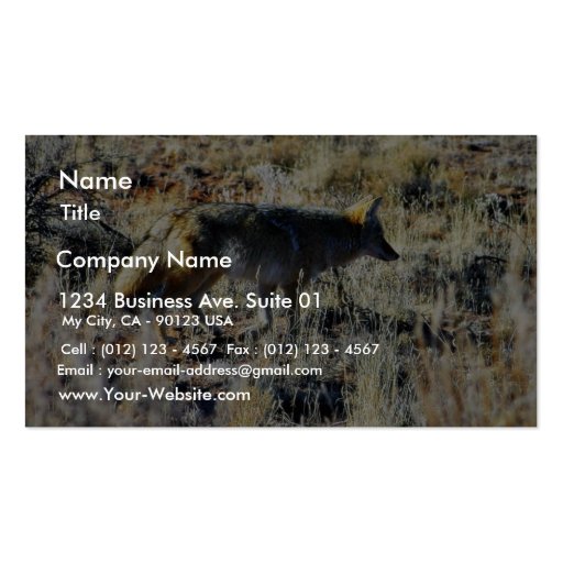 Fox Coyotes Wild Anilmal In Field Business Card Template (front side)