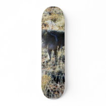 Fox Coyotes Wild Anilmal In Field Skateboards