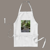 Fox Creek, Rainier, Oregon aprons