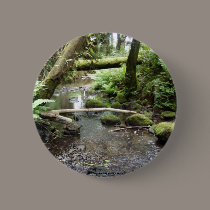 Fox Creek, Rainier, Oregon buttons