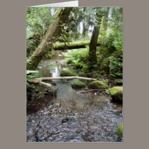 Fox Creek, Rainier, Oregon cards