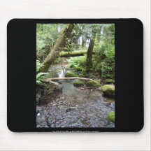 Fox Creek, Rainier, Oregon Mousepads