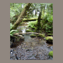 Fox Creek, Rainier, Oregon. posters