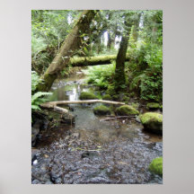 Fox Creek, Rainier, Oregon. Print